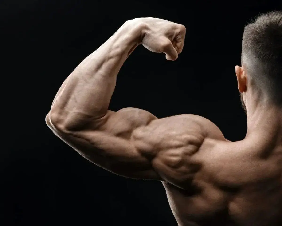 بهترین کوکتل‌ها برای عضله‌سازی_کوکتل ال کارنتین مزولایک